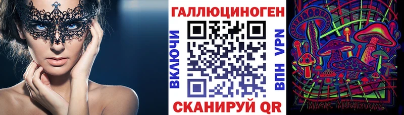 купить наркотик  площадка какой сайт  Галлюциногенные грибы MAGIC MUSHROOMS  Хабаровск 